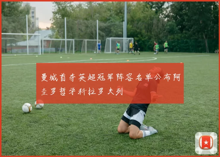 曼城首夺英超冠军阵容名单公布阿圭罗哲学科拉罗夫列