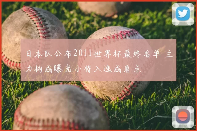 日本队公布2011世界杯最终名单 主力构成曝光小将入选成看点