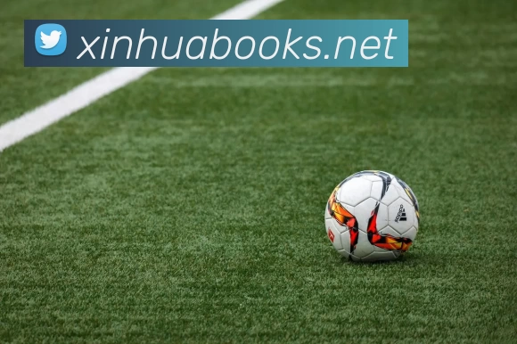 曼城首夺英超冠军阵容名单公布阿圭罗哲学科拉罗夫列